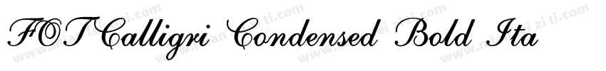 FOTCalligri Condensed Bold ItalicVe字体转换